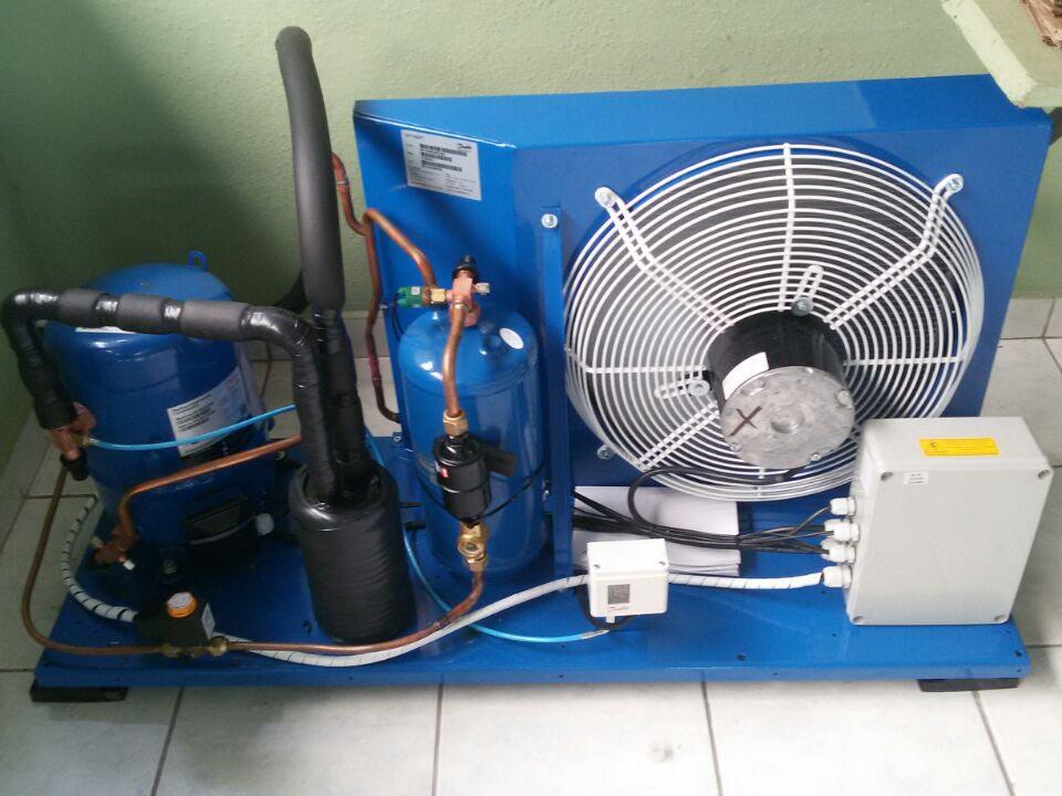 Expositor refrigerado
